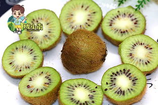 禮縣獼猴桃購買指南 不可錯過的選購與食用秘訣