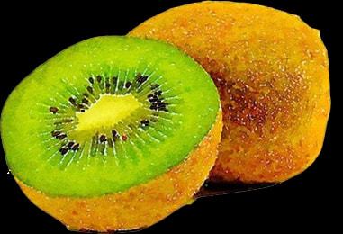 鮮果飄香長城鎮，獼猴桃采摘銷售正當時